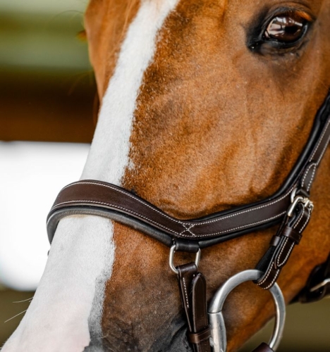 Ogłowie-anatomiczne-HORSEWARE-MICKLEM-Competition-dark-havana-02