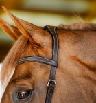 Ogłowie-anatomiczne-HORSEWARE-MICKLEM-Competition-dark-havana-03