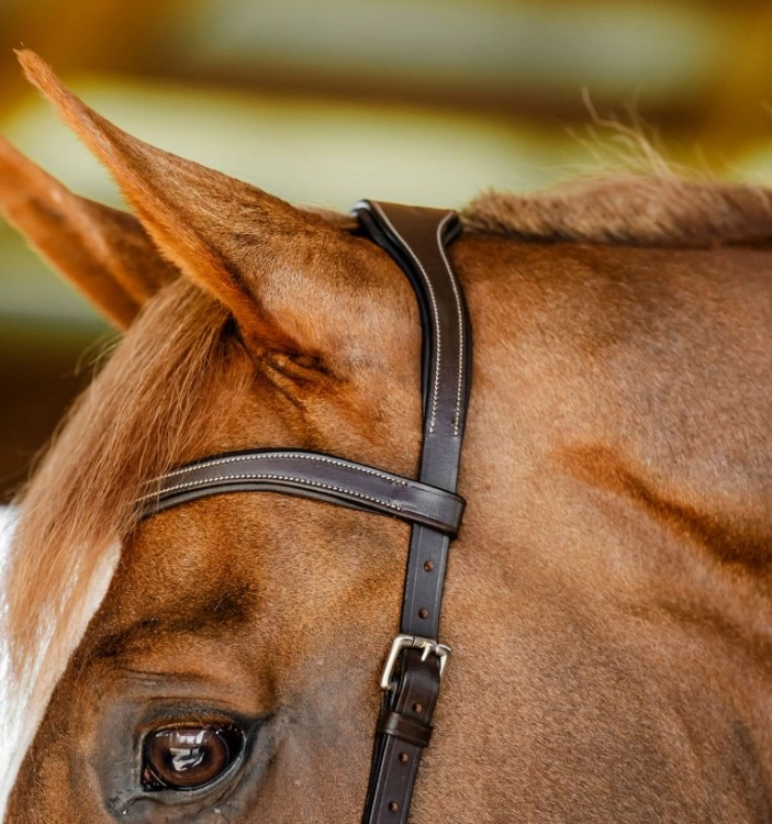 Ogłowie-anatomiczne-HORSEWARE-MICKLEM-Competition-dark-havana-03