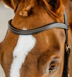 Ogłowie-anatomiczne-HORSEWARE-MICKLEM-Competition-dark-havana-04