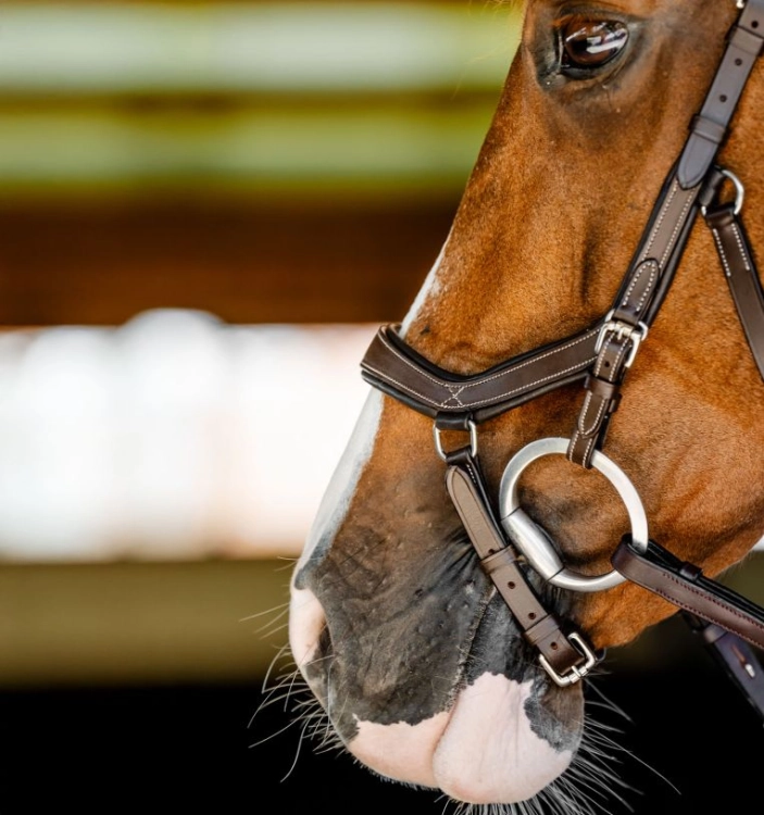 Ogłowie-anatomiczne-HORSEWARE-MICKLEM-Competition-dark-havana-06