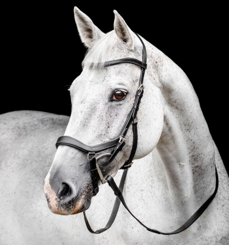 Ogłowie-anatomiczne-HORSEWARE-MICKLEM-Competition-czarne-01