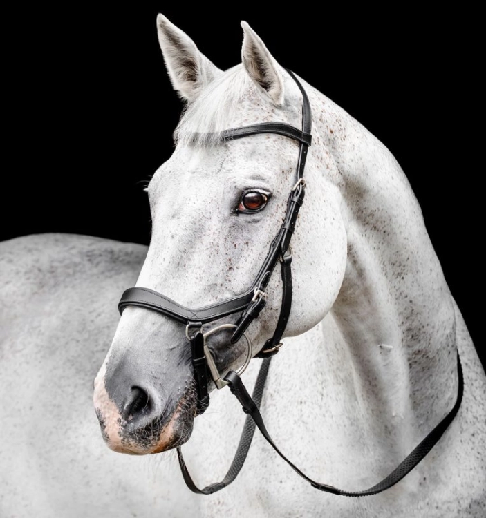Ogłowie-anatomiczne-HORSEWARE-MICKLEM-Competition-czarne-01