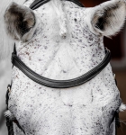 Ogłowie-anatomiczne-HORSEWARE-MICKLEM-Competition-czarne-02