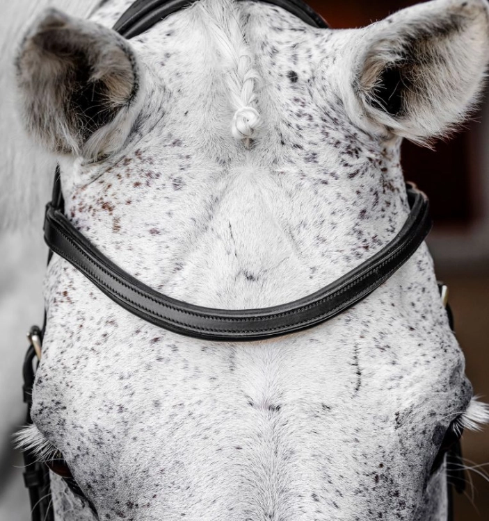 Ogłowie-anatomiczne-HORSEWARE-MICKLEM-Competition-czarne-02