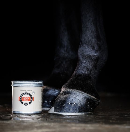 Balsam-do-kopyt-Carr-&-Day-&-Martin-Cornucrescine-Hoof-Balm-bezbarwny