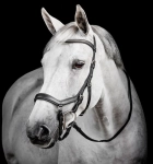 Ogłowie HORSEWARE "Micklem Diamante Competition" czarne