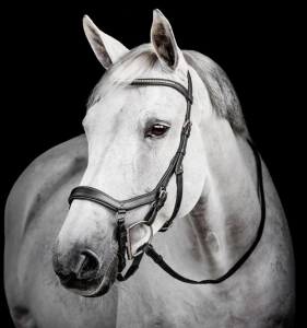 Ogłowie HORSEWARE "Micklem Diamante Competition" czarne
