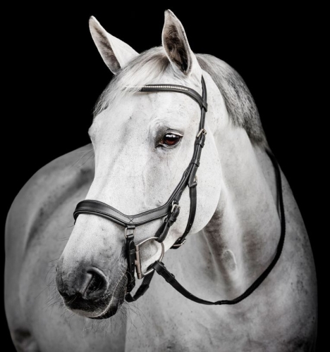 Oglowie-HORSEWARE-Micklem-Diamante Competition-czarne-01