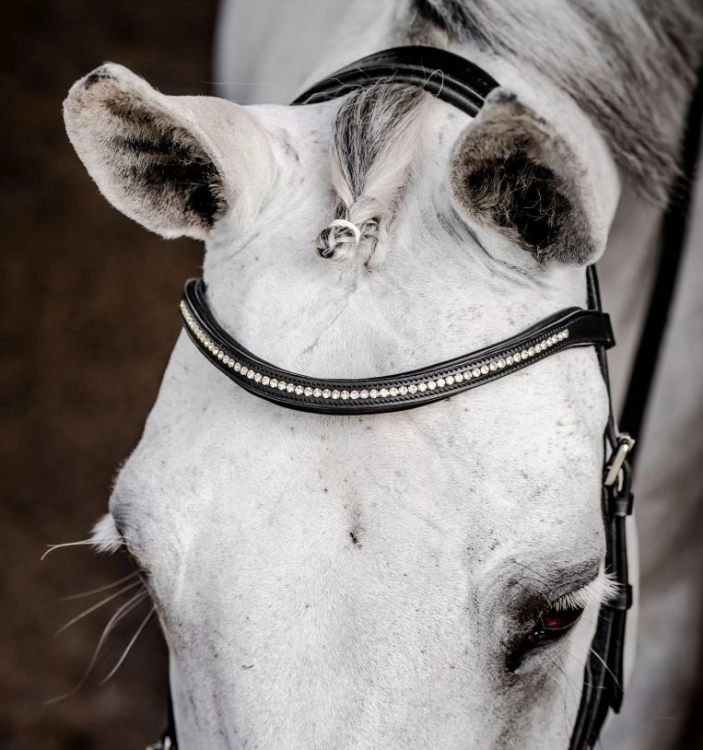 Oglowie-HORSEWARE-Micklem-Diamante Competition-czarne-03