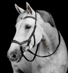 Ogłowie HORSEWARE "Micklem Deluxe Competition" czarne