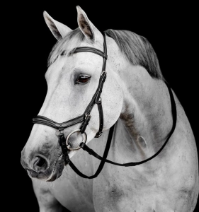 Ogłowie HORSEWARE "Micklem Deluxe Competition" czarne