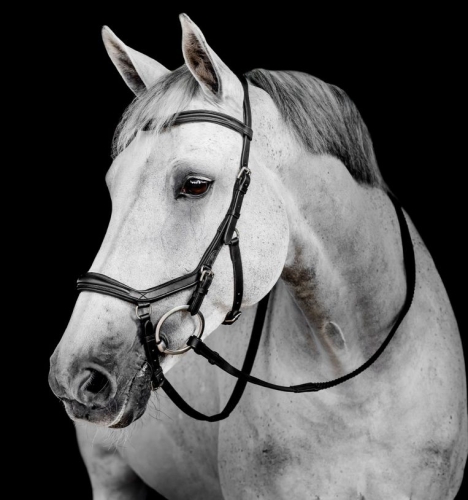 Oglowie-HORSEWARE-Micklem-Deluxe-Competition-czarne