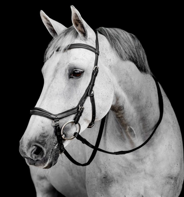 Oglowie-HORSEWARE-Micklem-Deluxe-Competition-czarne