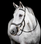Oglowie-anatomiczne-HORSEWARE-Micklem-Multi-Bridle-czarne-01