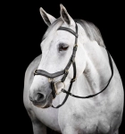 Ogłowie anatomiczne HORSEWARE "Micklem Multi Bridle" czarne
