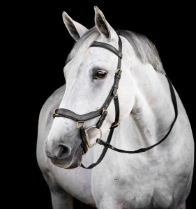 Ogłowie anatomiczne HORSEWARE "Micklem Multi Bridle" czarne