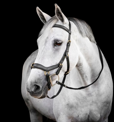 Oglowie-anatomiczne-HORSEWARE-Micklem-Multi-Bridle-czarne-01