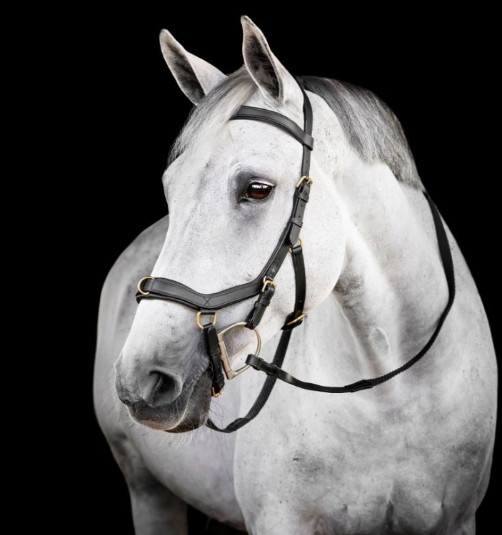 Oglowie-anatomiczne-HORSEWARE-Micklem-Multi-Bridle-czarne-01