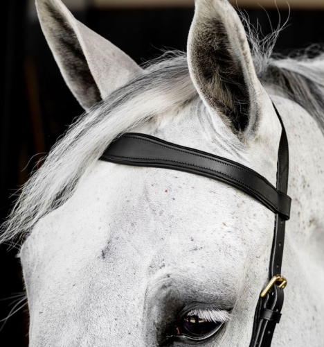 Oglowie-anatomiczne-HORSEWARE-Micklem-Multi-Bridle-czarne-02