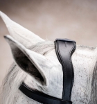 Oglowie-anatomiczne-HORSEWARE-Micklem-Multi-Bridle-czarne-03