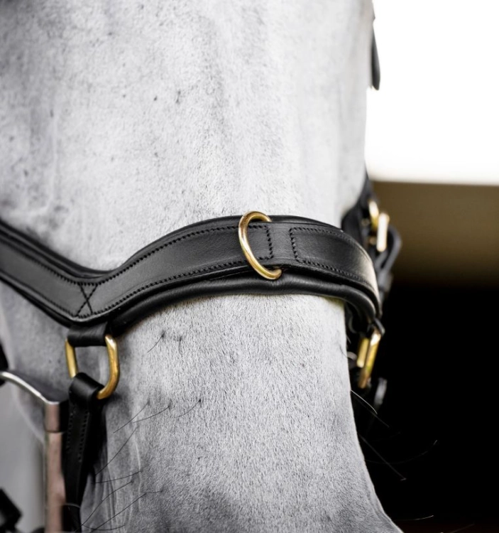 Oglowie-anatomiczne-HORSEWARE-Micklem-Multi-Bridle-czarne-04