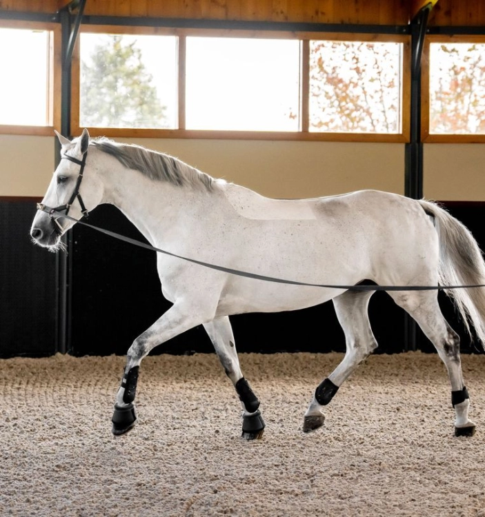 Oglowie-anatomiczne-HORSEWARE-Micklem-Multi-Bridle-czarne-06