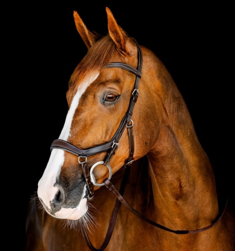 Ogłowie-anatomiczne-HORSEWARE-MICKLEM-Competition-dark-havana-01