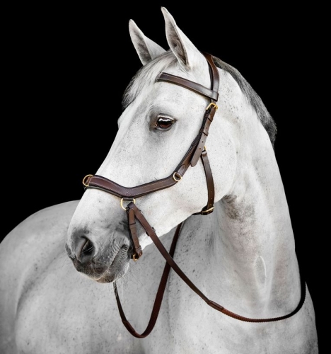 Oglowie-anatomiczne-HORSEWARE-Micklem-Multi-Bridle-dark-havana-02