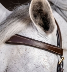 Oglowie-anatomiczne-HORSEWARE-Micklem-Multi-Bridle-dark-havana-04