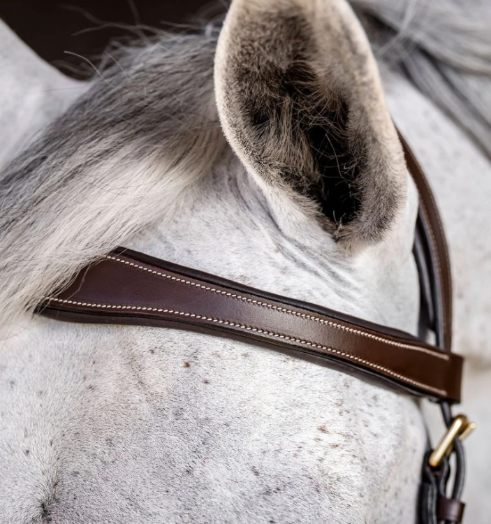 Oglowie-anatomiczne-HORSEWARE-Micklem-Multi-Bridle-dark-havana-04