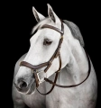 Oglowie-anatomiczne-HORSEWARE-Micklem-Multi-Bridle-dark-havana-01