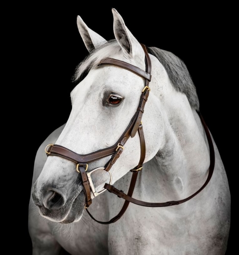 Oglowie-anatomiczne-HORSEWARE-Micklem-Multi-Bridle-dark-havana-01