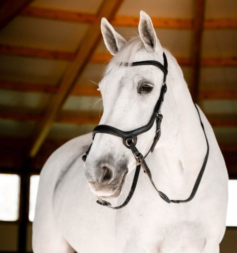 Oglowie-bezwedzidłowe-HORSEWARE-Micklem-Bitless-czarne