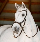 Oglowie-bezwedzidłowe-HORSEWARE-Micklem-Bitless-brazowe
