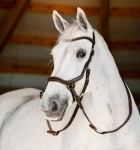 Ogłowie bezwędzidłowe HORSEWARE "Micklem Bitless" brązowe