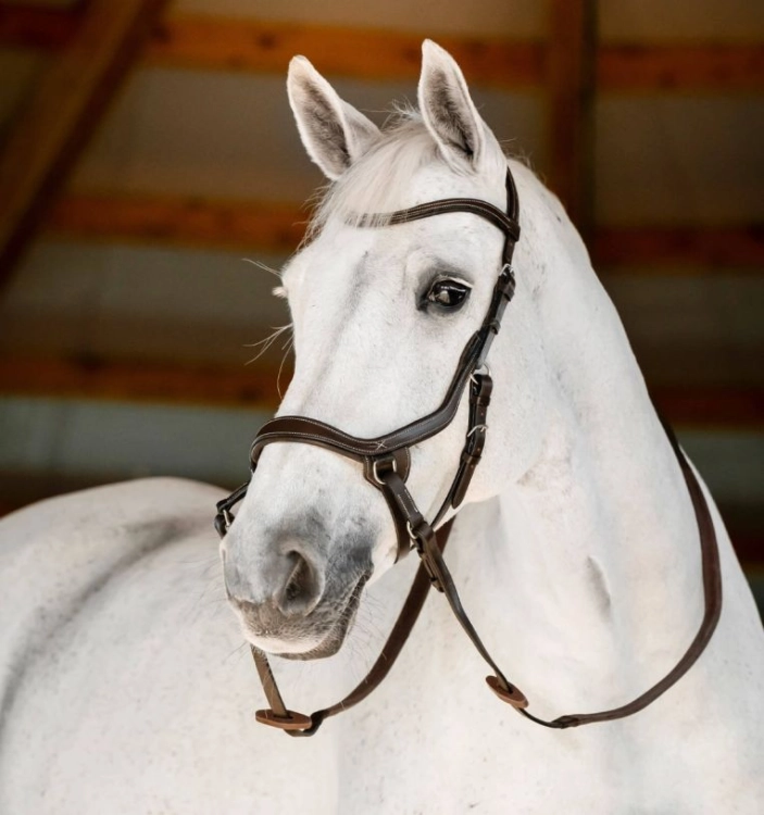 Oglowie-bezwedzidłowe-HORSEWARE-Micklem-Bitless-brazowe