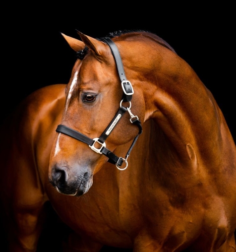 Kantar-skorzany-HORSEWARE-Signature-czarny-01