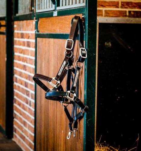 Kantar-skorzany-HORSEWARE-Signature-czarny-02