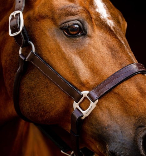 Kantar-skorzany-HORSEWARE-Signature-brazowy-02