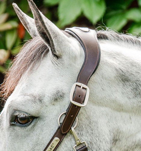 Kantar-HORSEWARE-Signature-Braided-brown-blue-haze-02