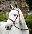 Oglowie-HORSEWARE-Hunter-Cavesson-01