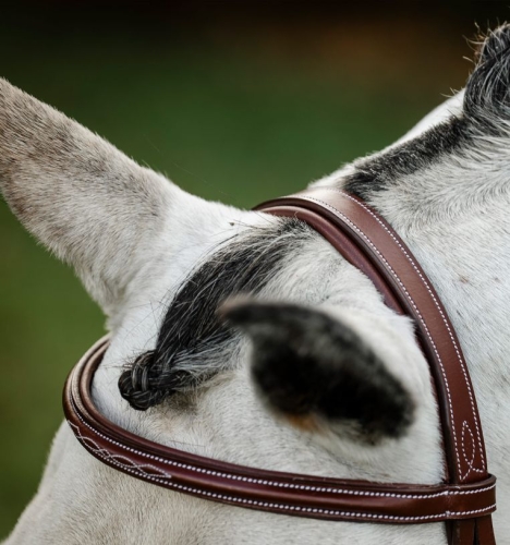 Oglowie-HORSEWARE-Hunter-Cavesson-02