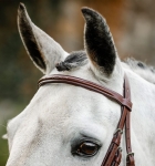 Oglowie-HORSEWARE-Hunter-Cavesson-03