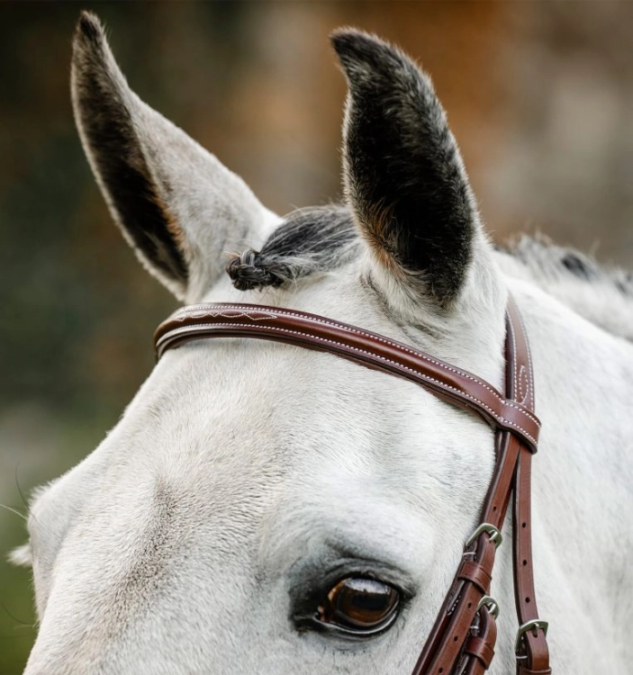 Oglowie-HORSEWARE-Hunter-Cavesson-03