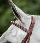 Oglowie-HORSEWARE-Hunter-Cavesson-06