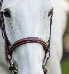Ogłowie dla kuca HORSEWARE Pony Hunter Cavesson