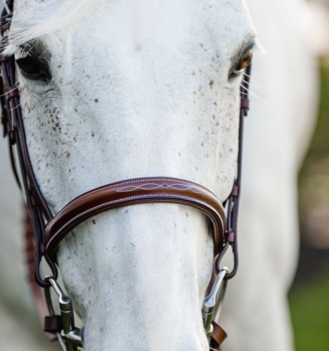 Ogłowie dla kuca HORSEWARE Pony Hunter Cavesson
