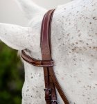 Ogłowie dla kuca HORSEWARE Pony Hunter Cavesson