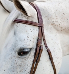 Ogłowie dla kuca HORSEWARE Pony Hunter Cavesson